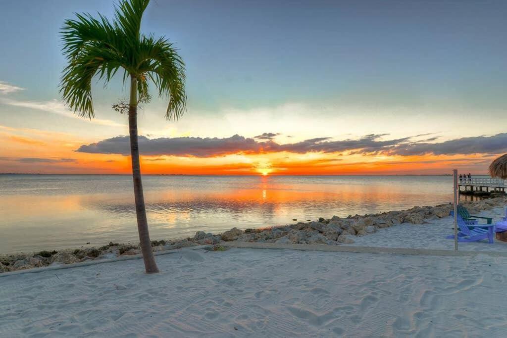 409-waterfront View, Wifi, Pool, Close To Bucs Stadium Appartamento