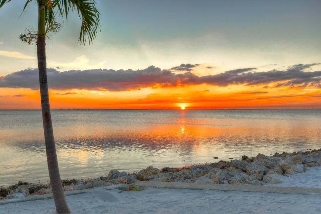 Appartamento 409-waterfront View, Wifi, Pool, Close To Bucs Stadium